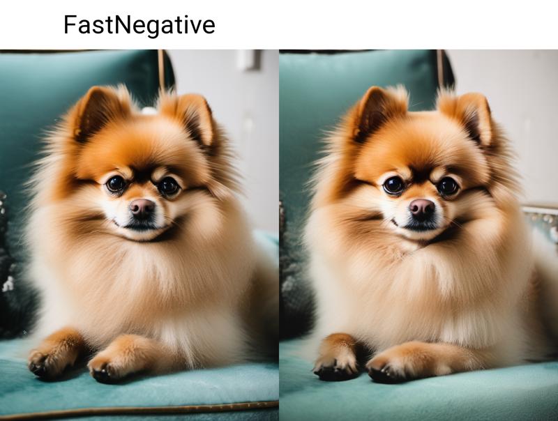 4077017975-a Pomeranian, sofa,.png